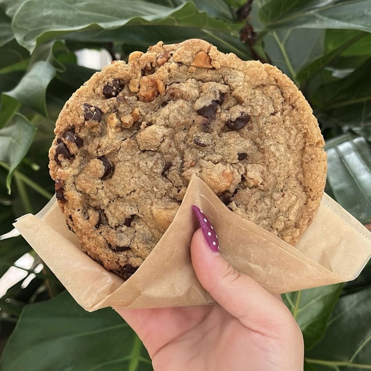 Brown Butter Walnut Cookie Near me El Paso TX - The Coffee Spot 915