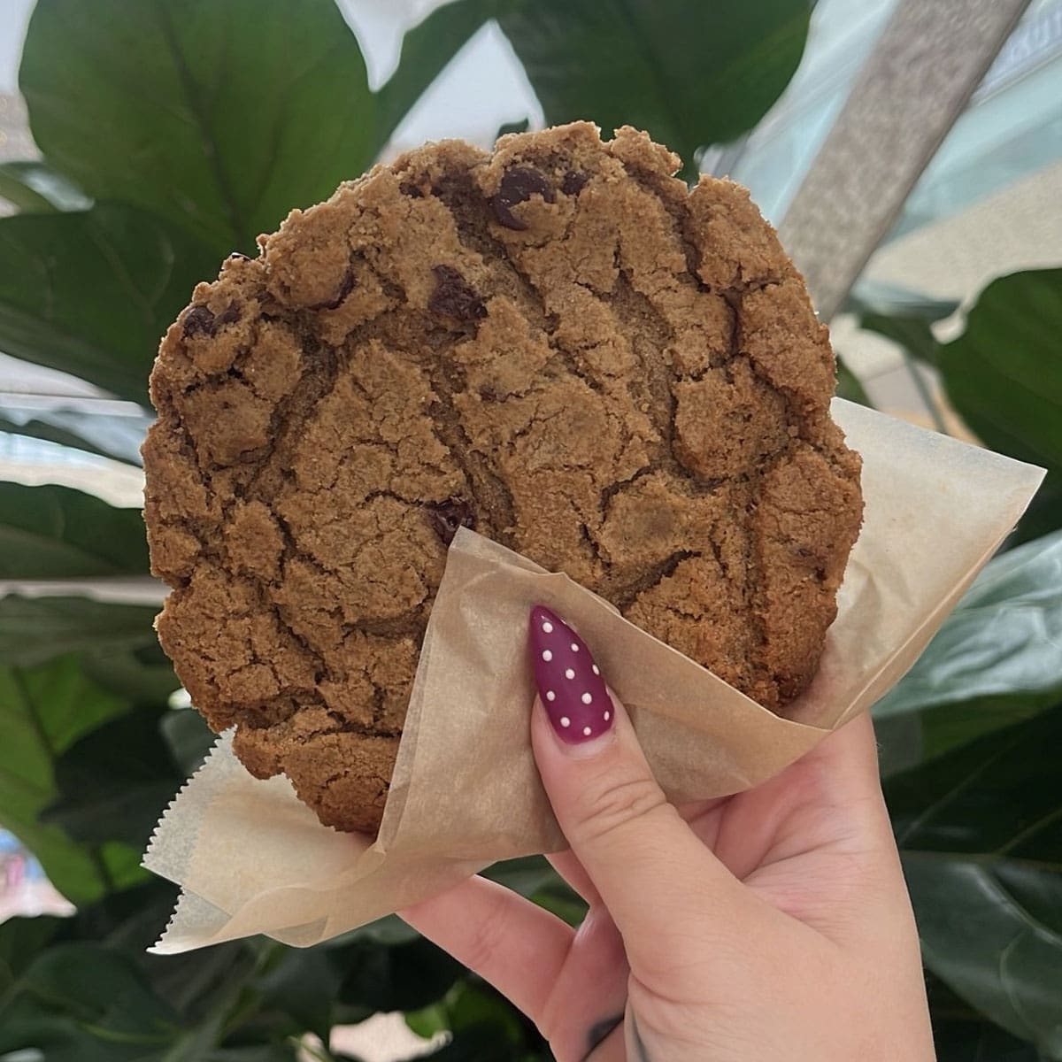 Chocolate Chip Cookie Near me El Paso TX - The Coffee Spot 915