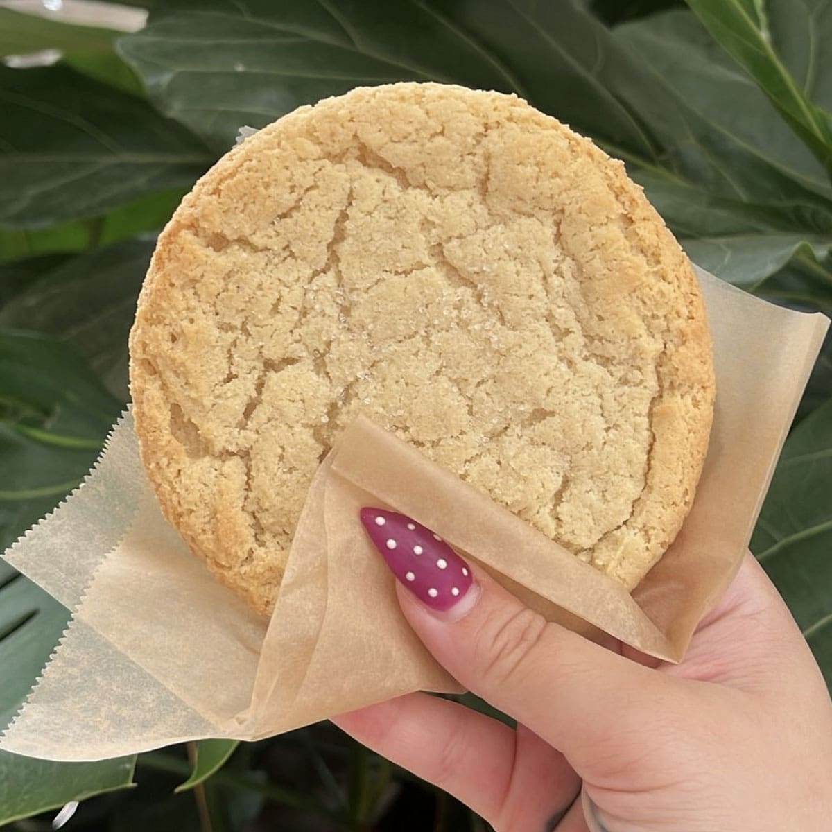 Snickerdoodle Near me El Paso TX - The Coffee Spot 915