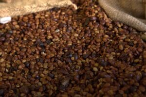 the-coffee-spot-gallery-5