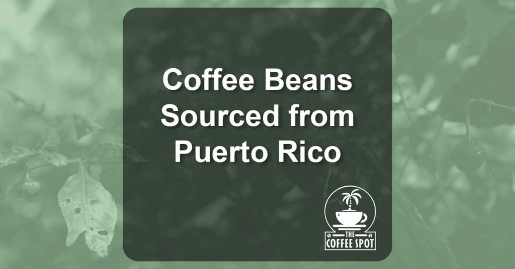 Coffee Beans Sourced from Puerto Rico: Why These Island Roasts Are Blowing Up in El Paso